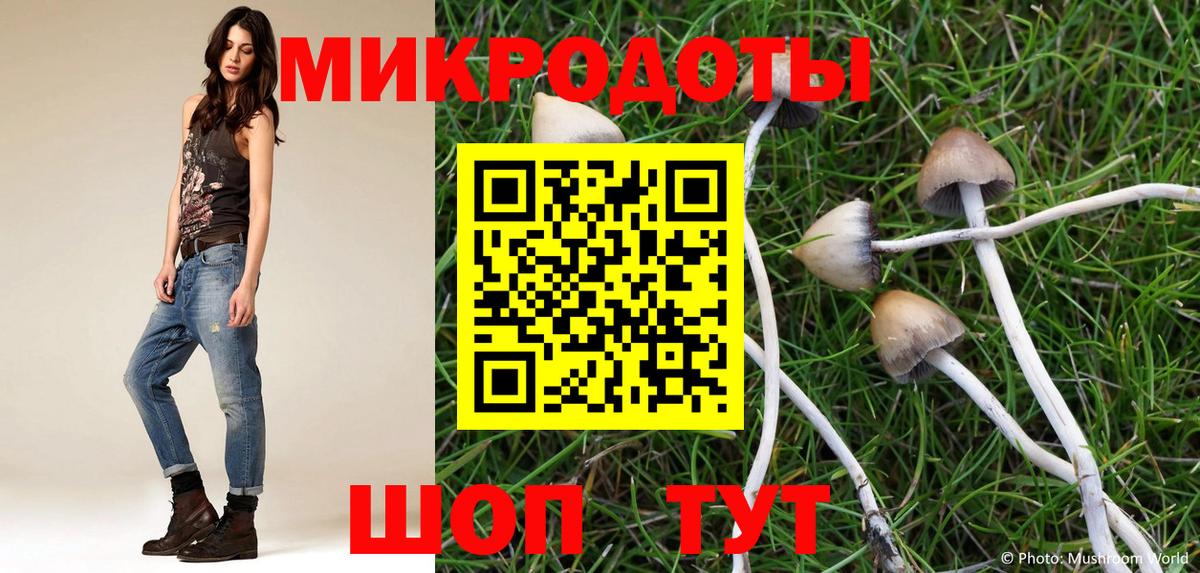 Галлюциногенные грибы Psilocybine cubensis Туймазы